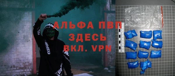 стафф Новозыбков