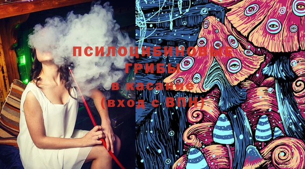 соль ск Алексин