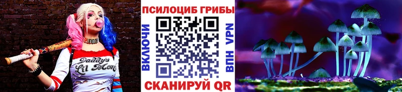 Галлюциногенные грибы Magic Shrooms  Лениногорск 